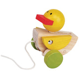 EverEarth Play Pull Along Duck
