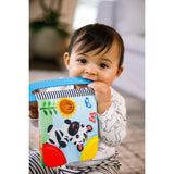 Baby Einstein Curious Explorers Teether Book Take-Along Toy