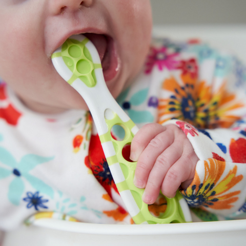 Cognikids Dip - Weaning Pre-Spoon Clearance